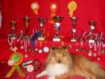 /album/foto-s-cenami-za-agility-sezonu-2011-a-2012/foceni-jerry-a-impik-023-jpg/